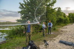 The team setting up nets for bat catching. Pripiat-Stokhid National Park in the Polesie area, Ukraine. © Daniel Rosengren