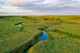 The river Pripyat in the Pripiat-Stokhid National Park in the Polesie area, Ukraine. Photo taken with a drone. © Daniel Rosengren