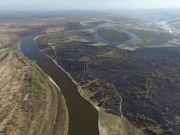 Burnt areas and fires on Turov Meadows. © Maksim Belotsky